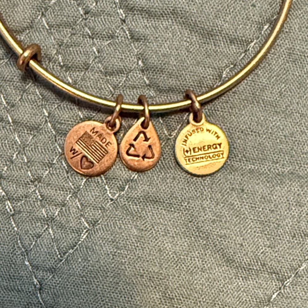 Alex & Ani - Grandmother Charm Bracelet - Picture 4 of 4
